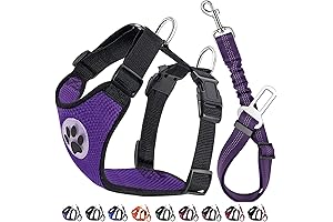 Lukovee Dog Car Seat Belt for Travel (Large, Purple)