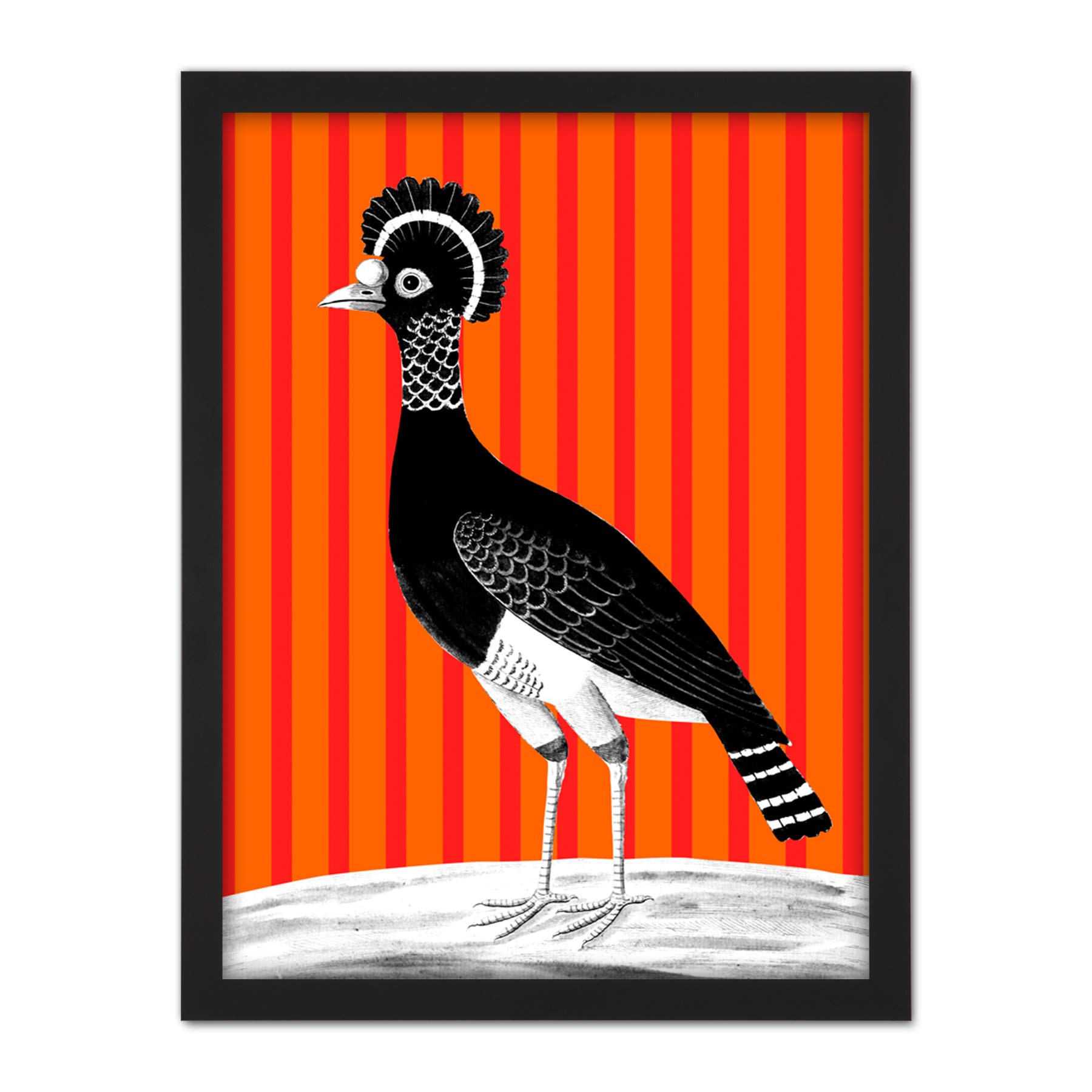 Wee Blue Coo Tall Birds On Stripes Carafson Hen Artwork Framed Wall Art Print 18X24 Inch