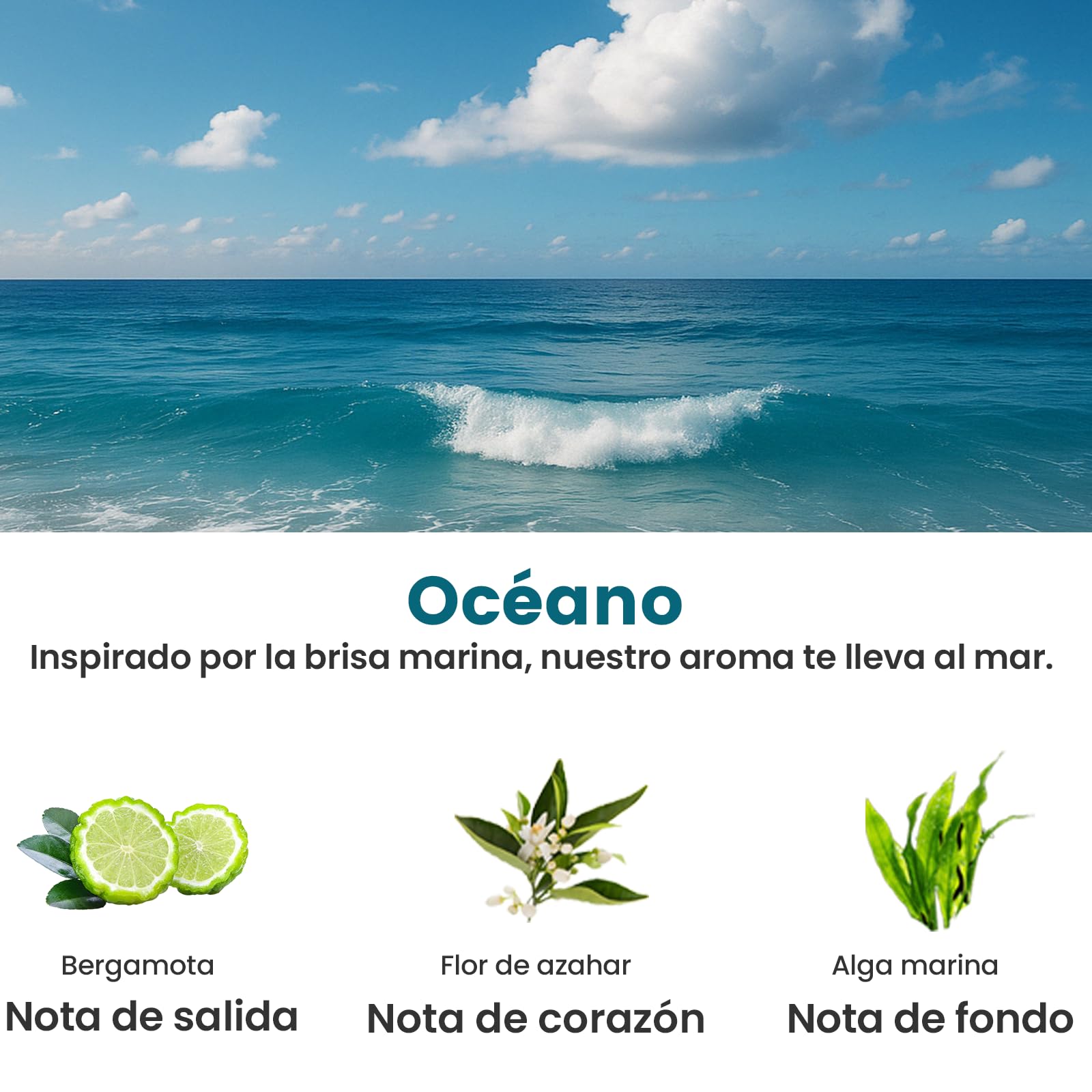 Para BJ 573 Recarga de Perfume para Coche – 50 ml Fragancia Francesa – Para Difusores – Dura 4-6 Meses (Océano)