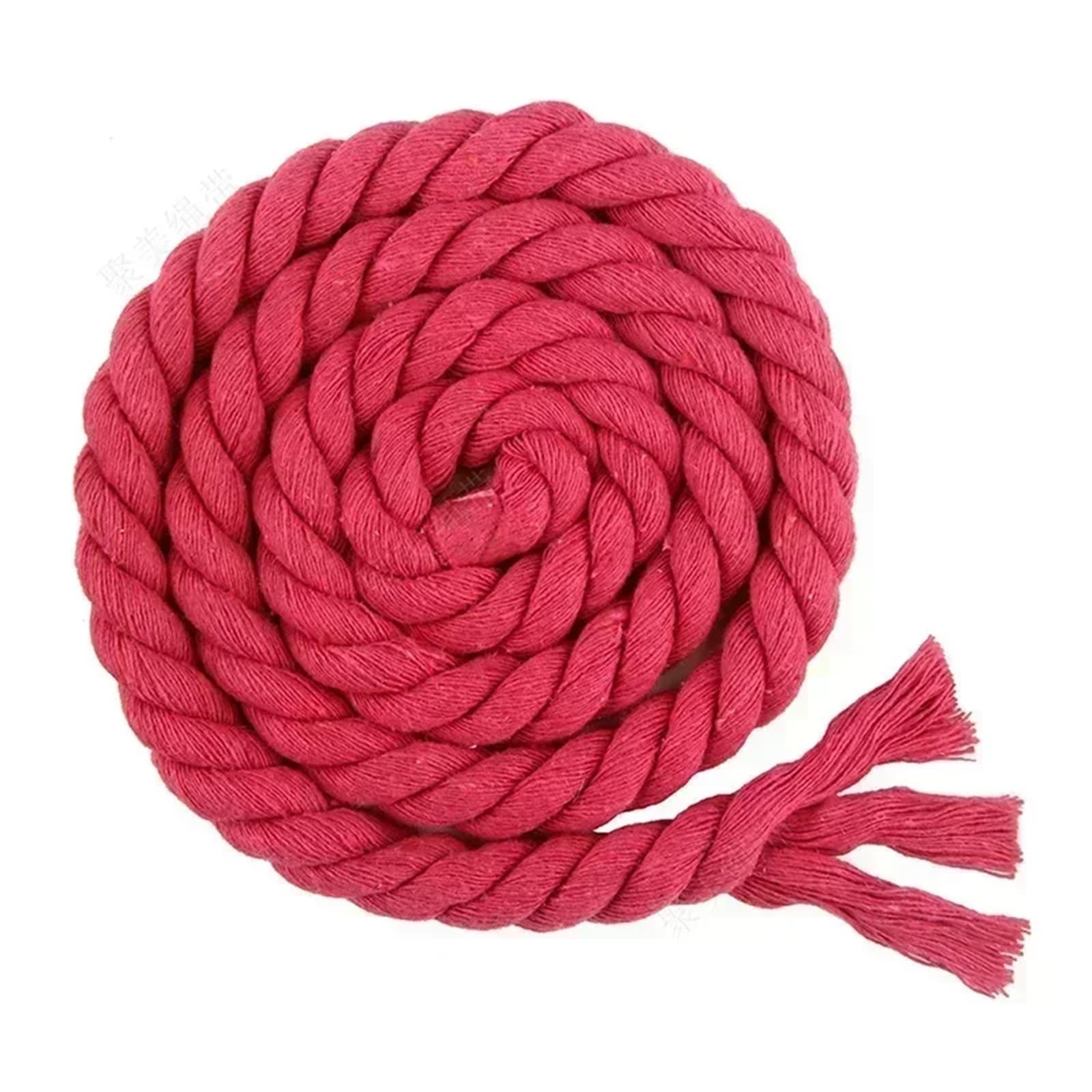Twisted Cotton Cord 2/5/10M 8mm 3 Shares Twisted Cotton Cords Shoulder Bag Strap Waistband Cord Knapsack Gift Box Braided(Color 2,8mm-2Meters)