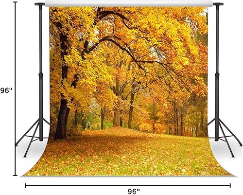 Miniatura 6 de LYWYGG Fondo de imagen de otoño de 8 x 8 pies con hojas amarillas llenas de árboles, paisaje de otoño, vinilo para fotografía de otoño, fondos de