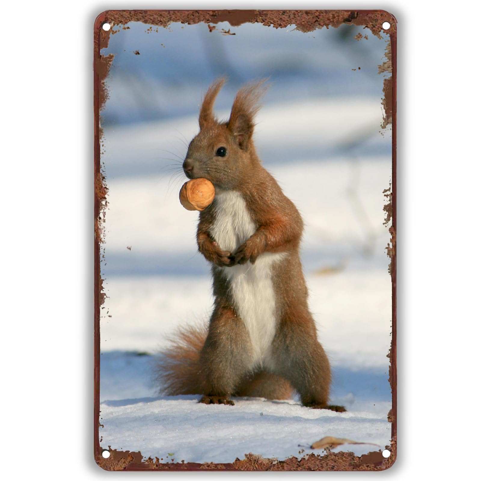 Kwqdozf As Pic Squirrel Poster Decor Vintage Metal Tin Signs Cute Squirrels In The Snow Ir