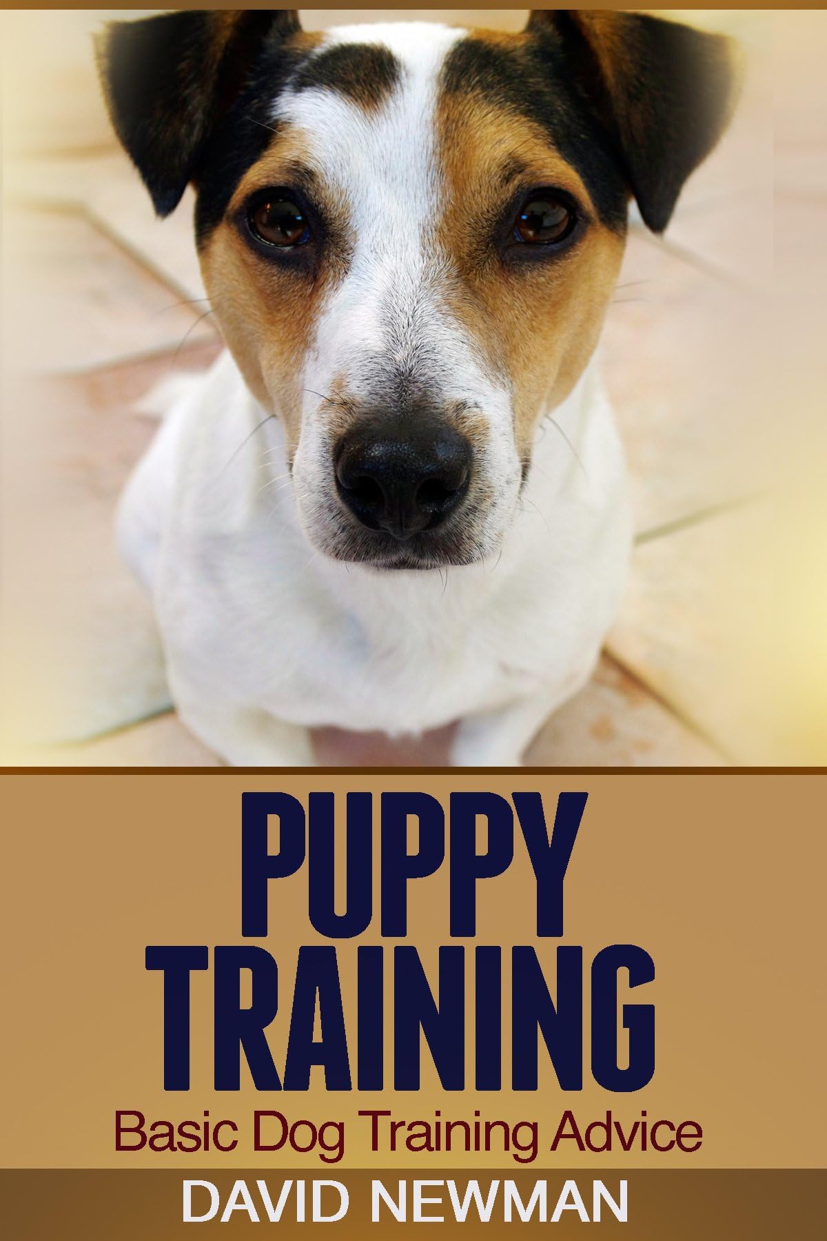 Puppy Training: Basic Dog Training Advice