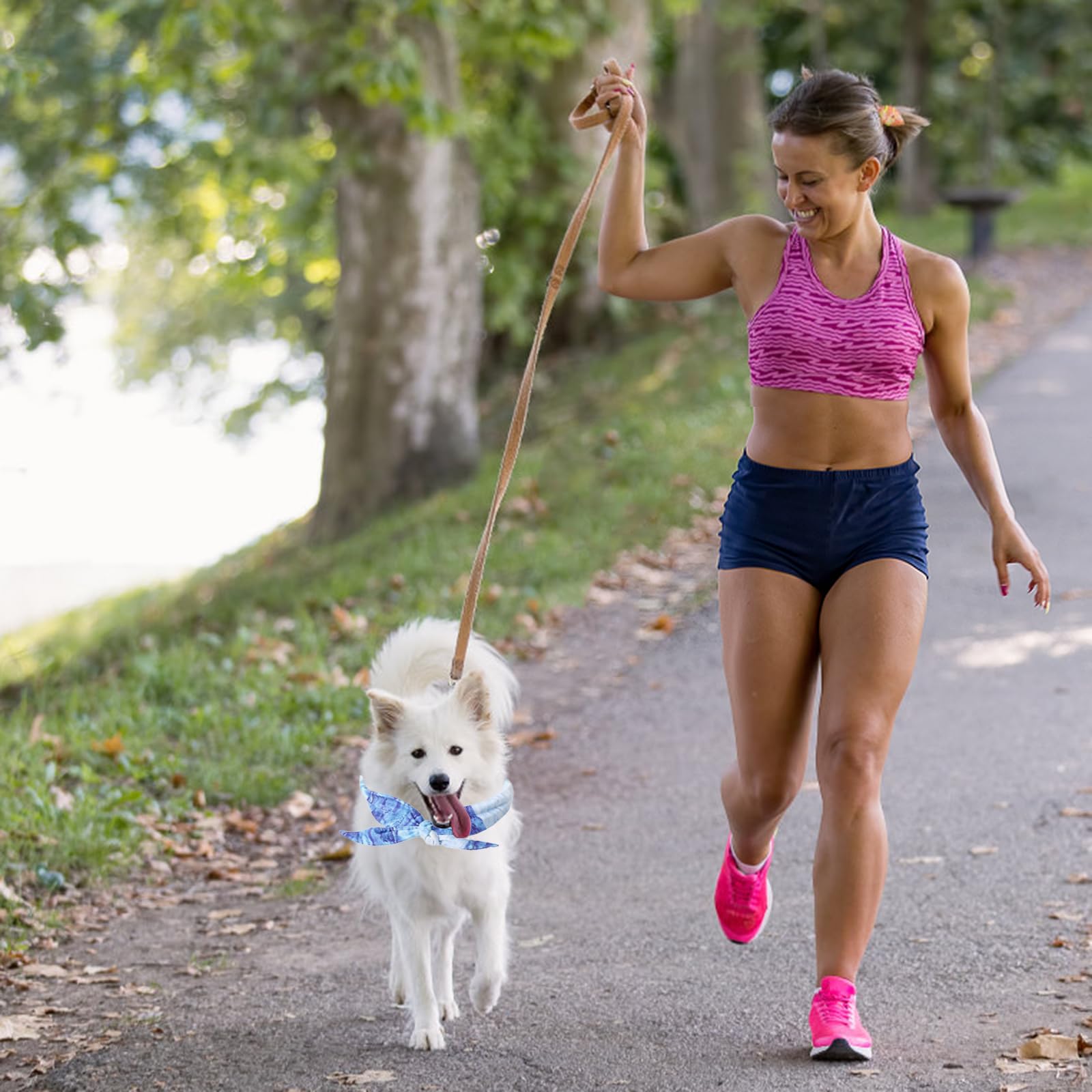 Bandana Rinfrescante per Cani, Collare di Raffreddamento, Sciarpa per il Ghiaccio per Cani, Collari per Cane di Raffreddamento, Bandana Cane per L'estate