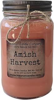 Amish Harvest Scented Soy Wax Candle, Non Toxic Soy Wax, Natural, Highly Scented Candle, Handmade in the USA, Up to 100 Hour Burn time
