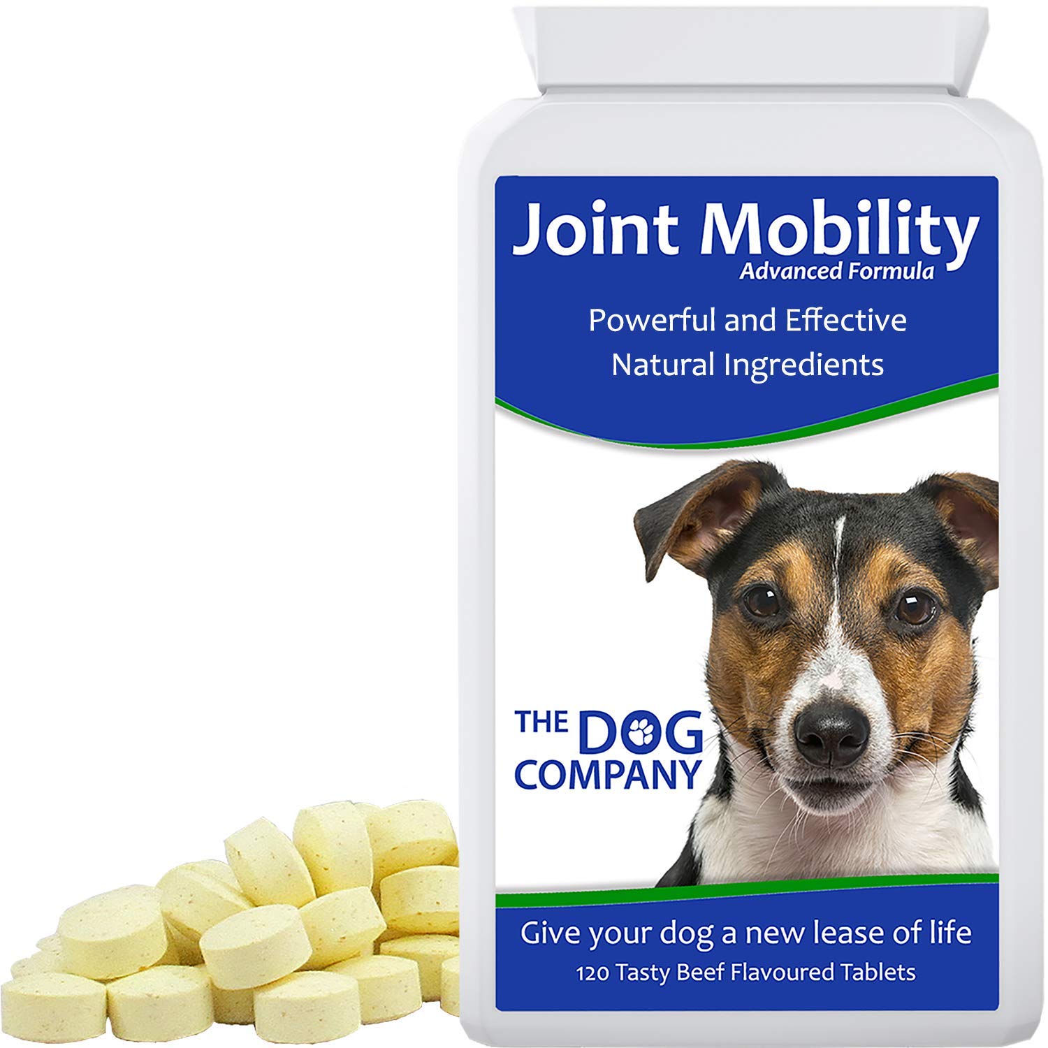 joint care for older dogs