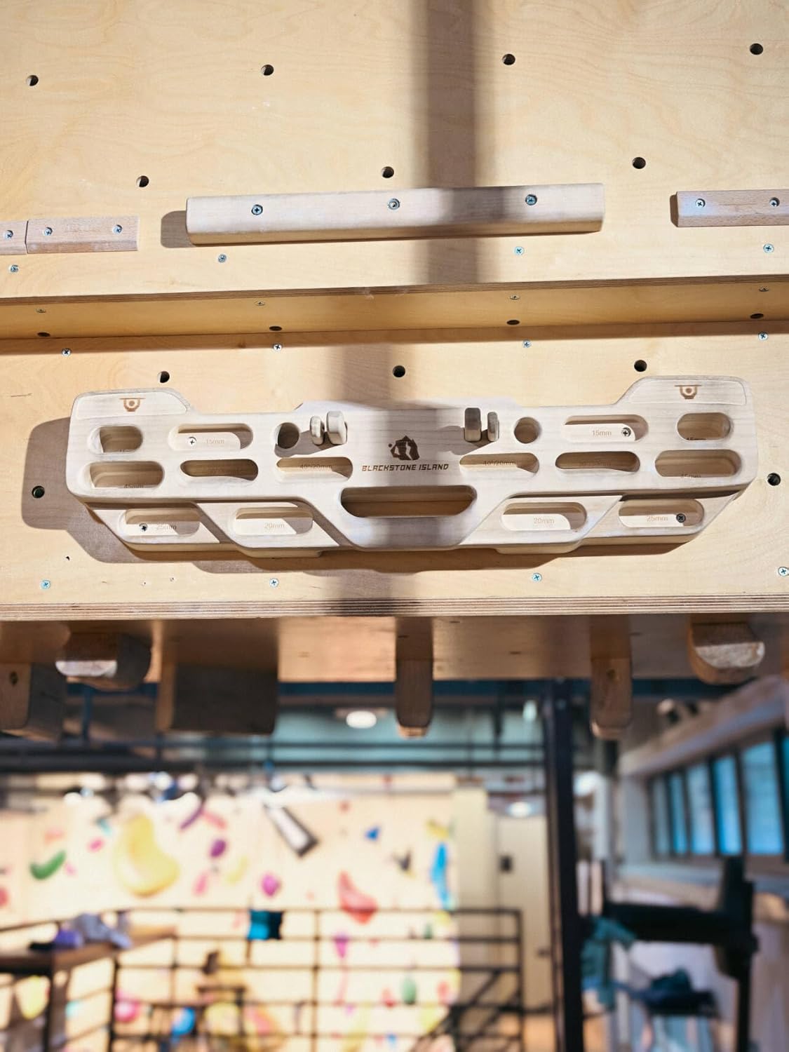 Hangboard for Rock Climbing,Climbing Training Board for Indoor and Outdoor Use