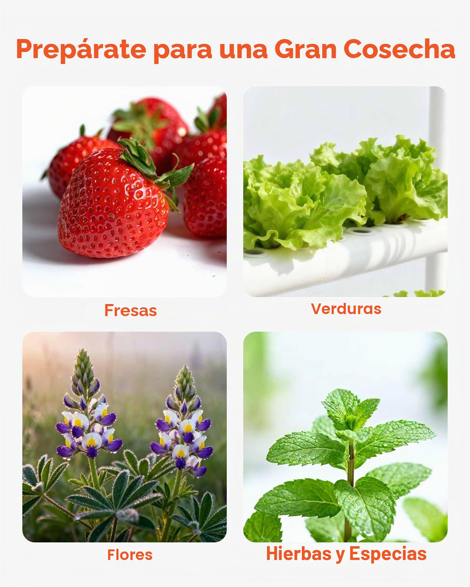 VEVOR Juego de Sistema de Cultivo Hidropónico 3 Niveles y 90 Sitios, con Riego Programado, Tuberías Que Bloquean Luz y Sol, Kit de Cultivo para Hortalizas, Frutas, Hierbas sin Tierra en Interiores