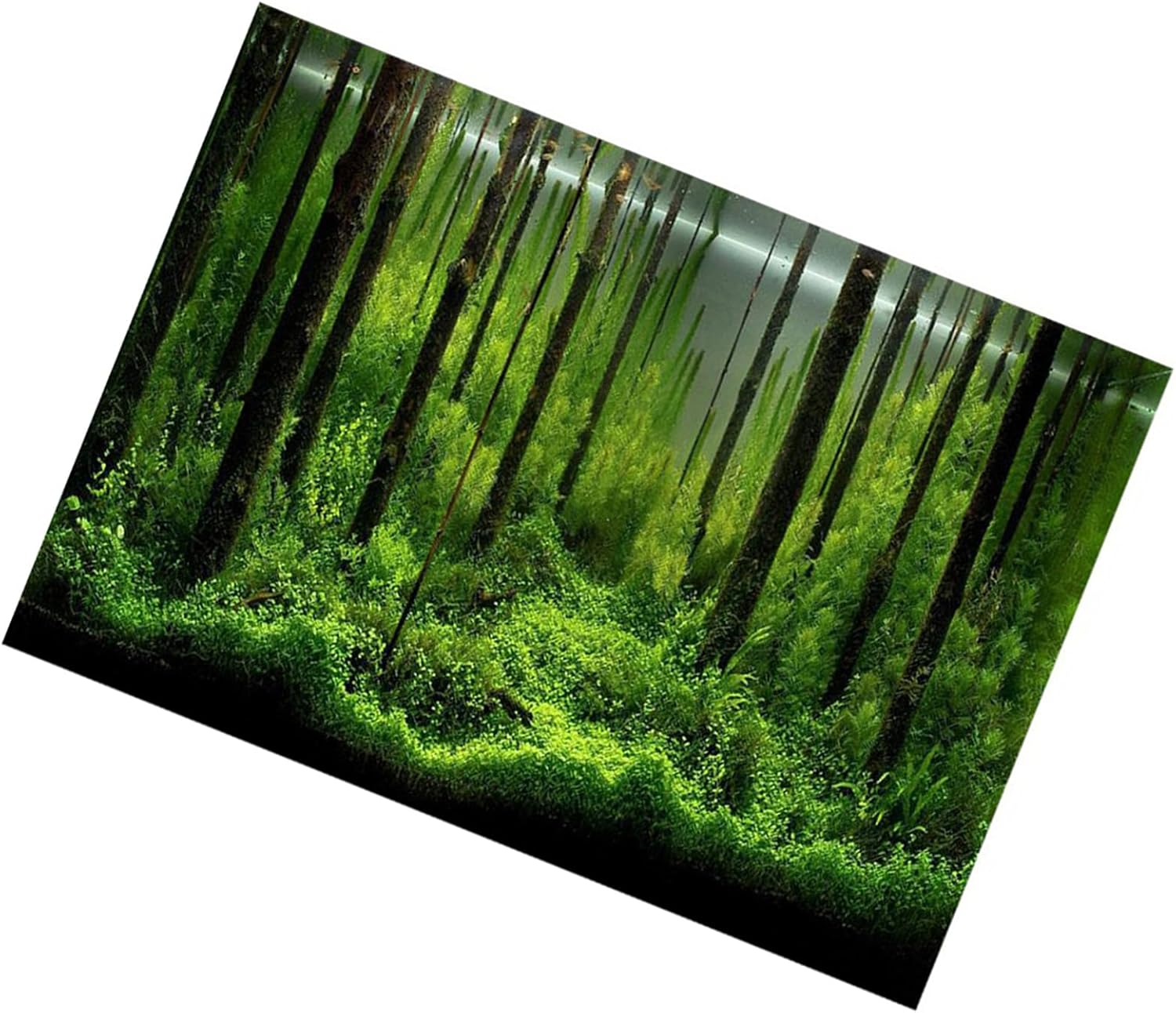 Semme Fish Sticker Background, Fish Poster, Aquarium Background Paper PVC Adhesive Underwater Forest Background Poster Backdrop Decoration Paper (91 * 50cm)