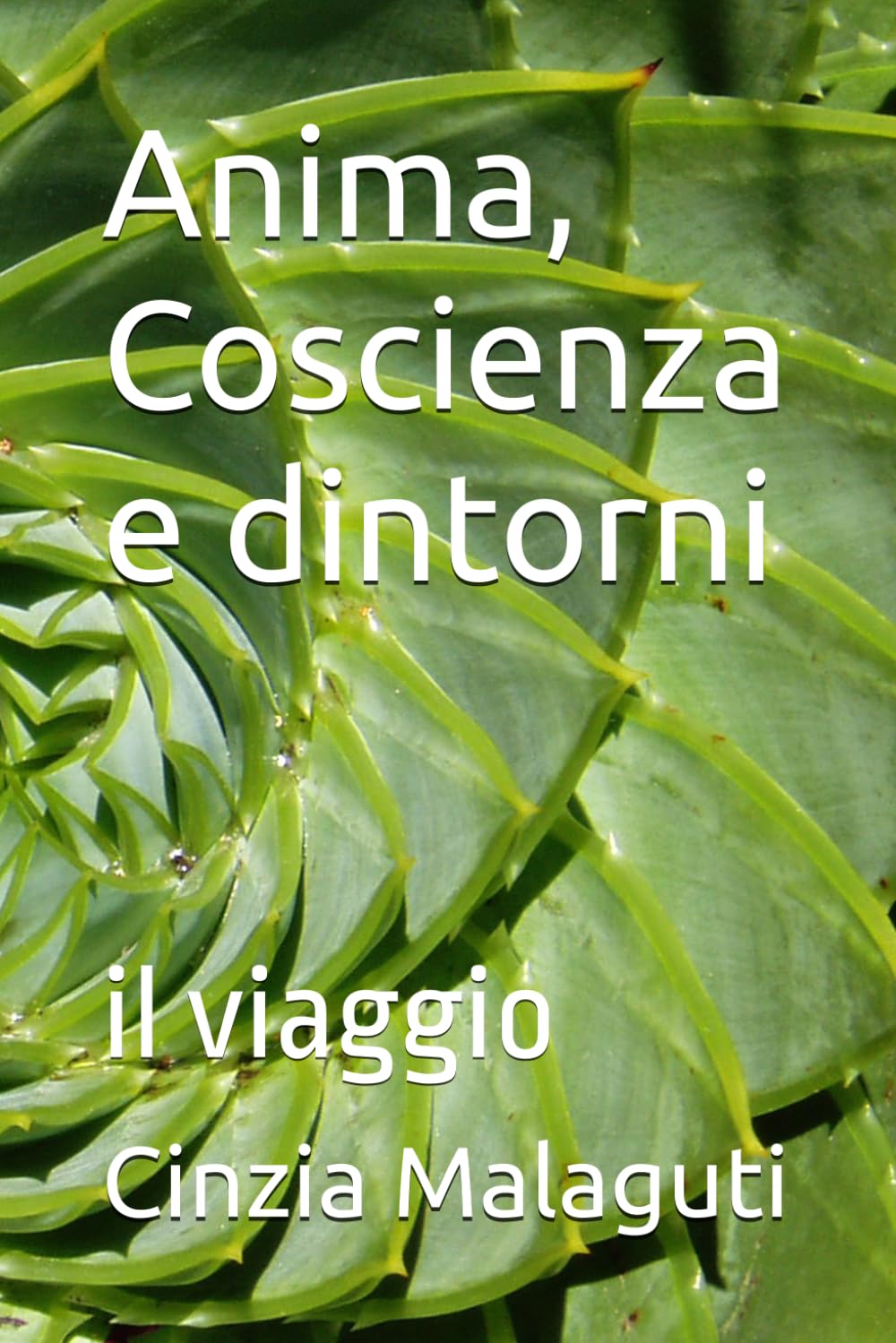 Anima, Coscienza e dintorni: il viaggio