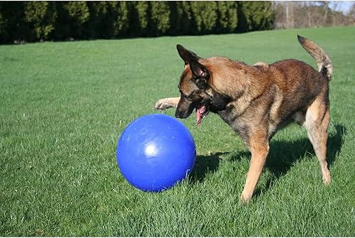 Miniatura 4 de Pelota Jolly Pets empuja y juega, 14 pulgadas, 6 - pulgadas, Azul