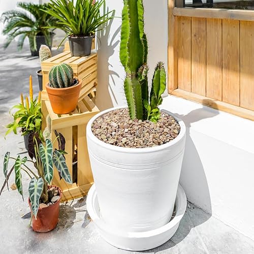 Miniatura 60 de Grava para suculentas y cactus de 10 libras, guijarros pulidos decorativos naturales de 1/5 pulgadas para paisajismo, rocas de río gris