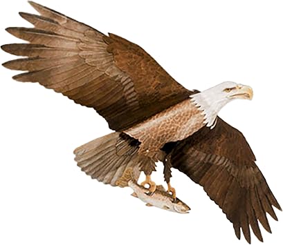 American Bald Eagle Kite