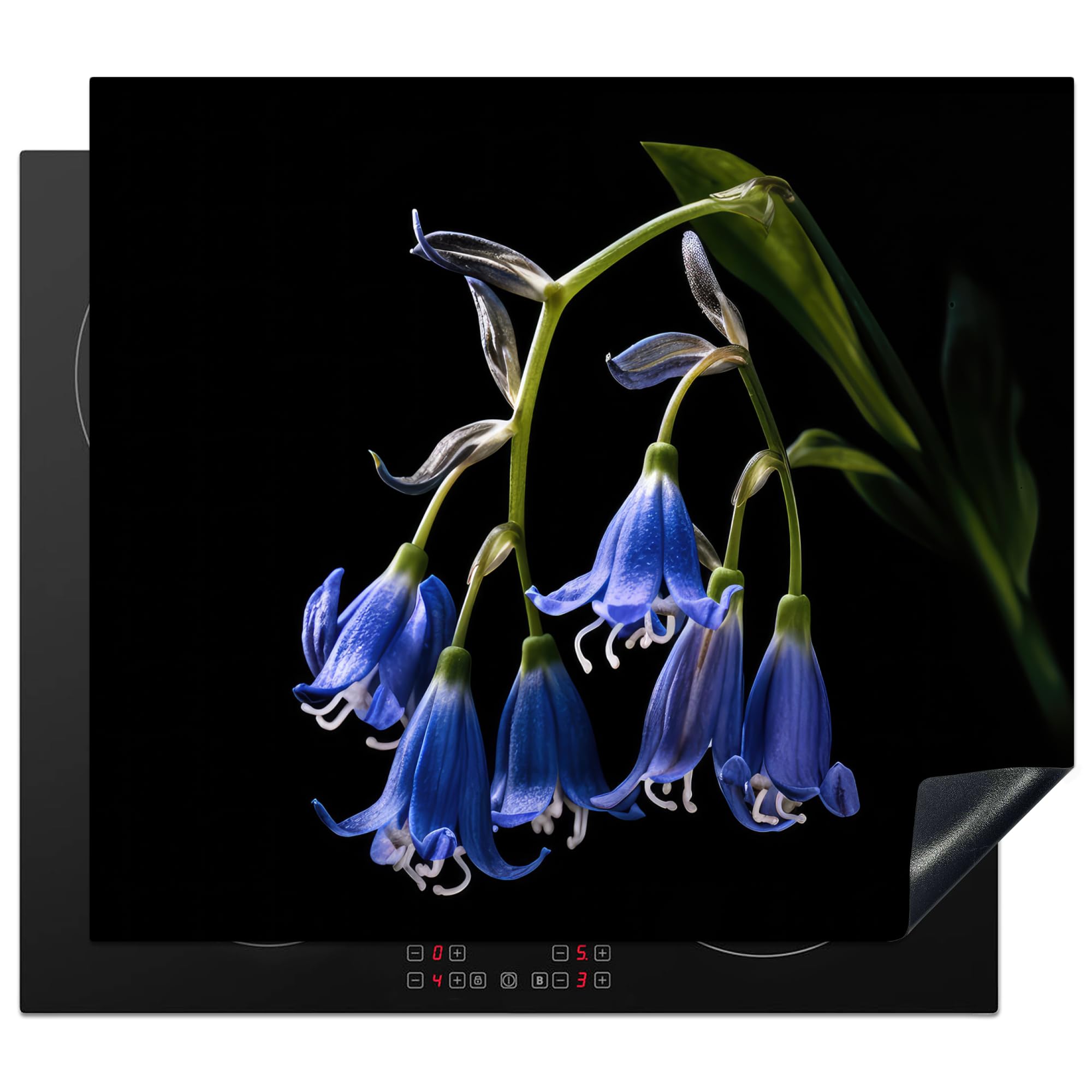 KitchenYeah© Herdabdeckplatte Einteilig Küche Herdabdeckung Induktionsfeld Ceranfeld Herdabdeckplatten Vinyl Matte Aufrollbar Hyazinthe - Blumen - Blau - Natur - Schwarz - 57x51 cm