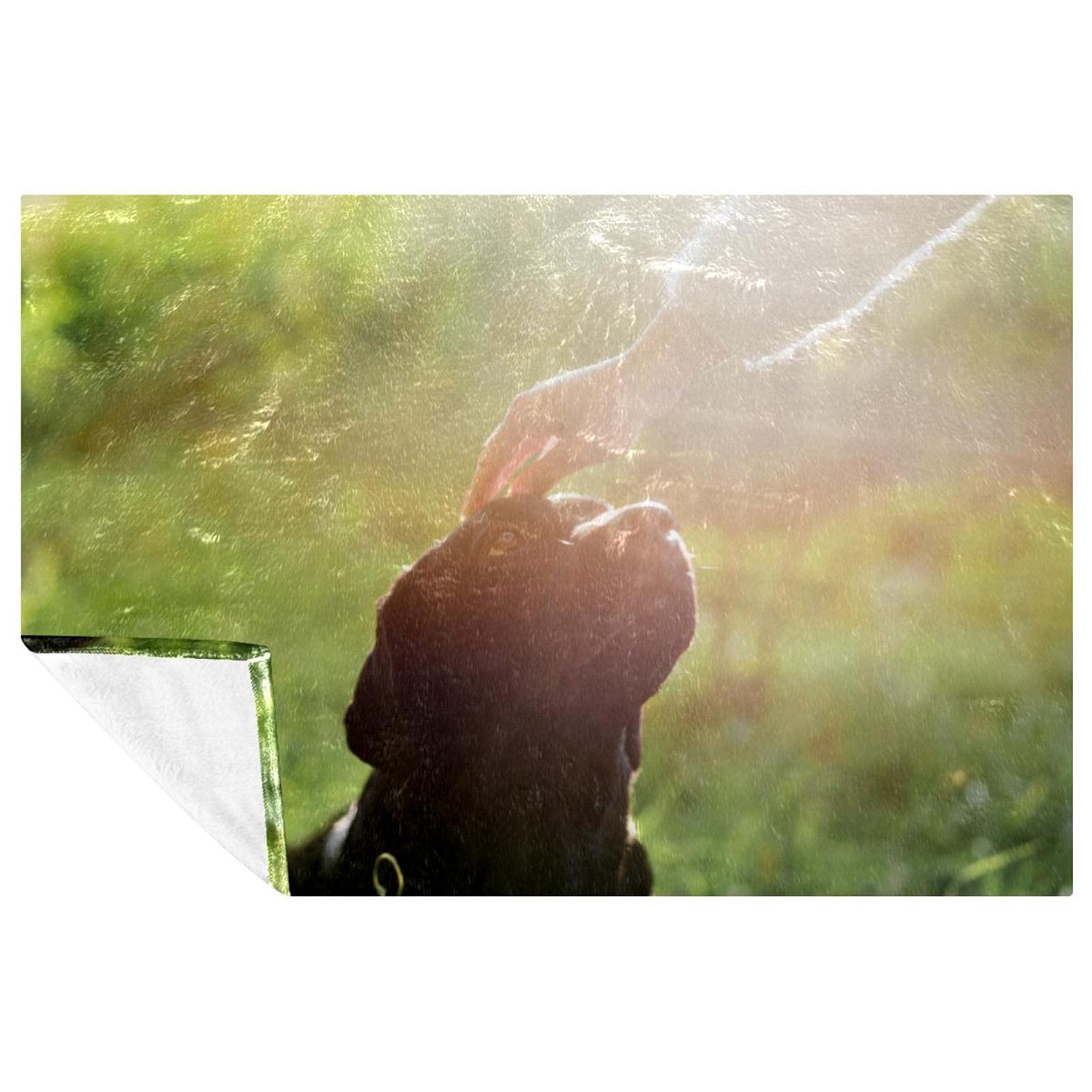 Couverture douce chien 150x100 cm chaude pour lit et canapé