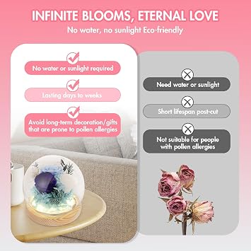 Preserved Flowers Eternal Roses in Glass Dome - Perfect Valentine's Day Gifts for Her, Girlfriend, or Mom - Elegant Home Decor & Bedroom Decor