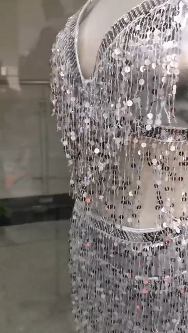 ゴージャスクリスタル 豹柄 一点物 アシハスカル ベリーダンス衣装