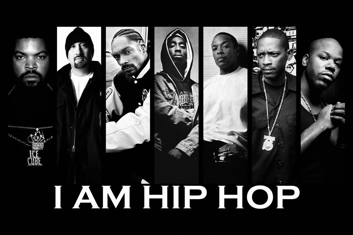 Hip Hop Rap cubitos de hielo Snoop Dogg Tupac Shakur Dr Dre Color