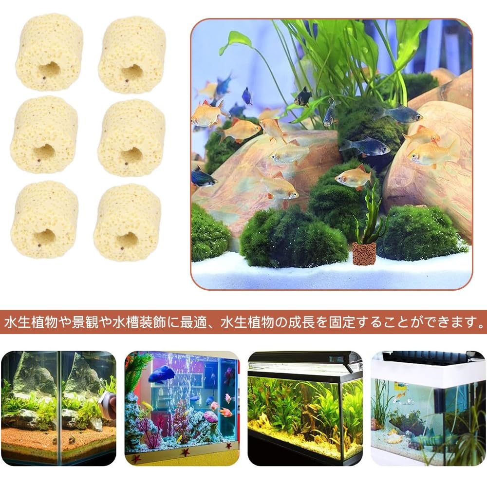 水槽セット 直接のお渡しの方、限定 水槽受け渡し決定しました！