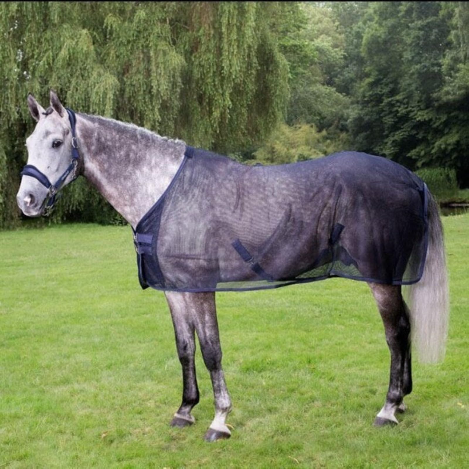 Hoja de Moscas de Caballos, sábanas de Mosca Ajustable para Caballos, protección UV ＆ Mantas de Caballo de Malla Transpirable para Caballos Reales, sábana con Hebilla