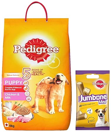 Pedigree Puppy Dry Dog Food, Chicken & Milk, 6kg Pack & Pedigree Jumbone Mini Adult Dog Treat, Chicken & Lamb - 160 g Pack (4 Treats)