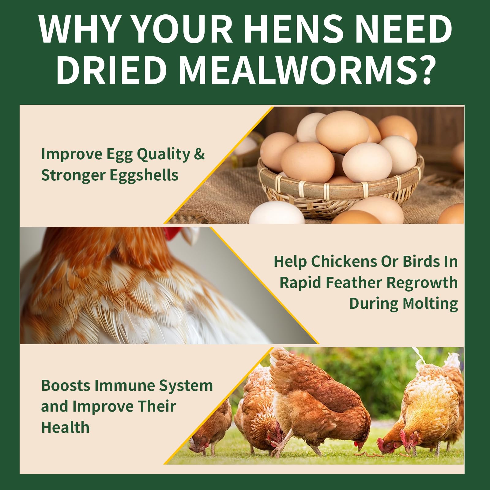 Snapklik.com : Dried Mealworms 5LB, 100% Natural, Non-GMO Mealworms For ...