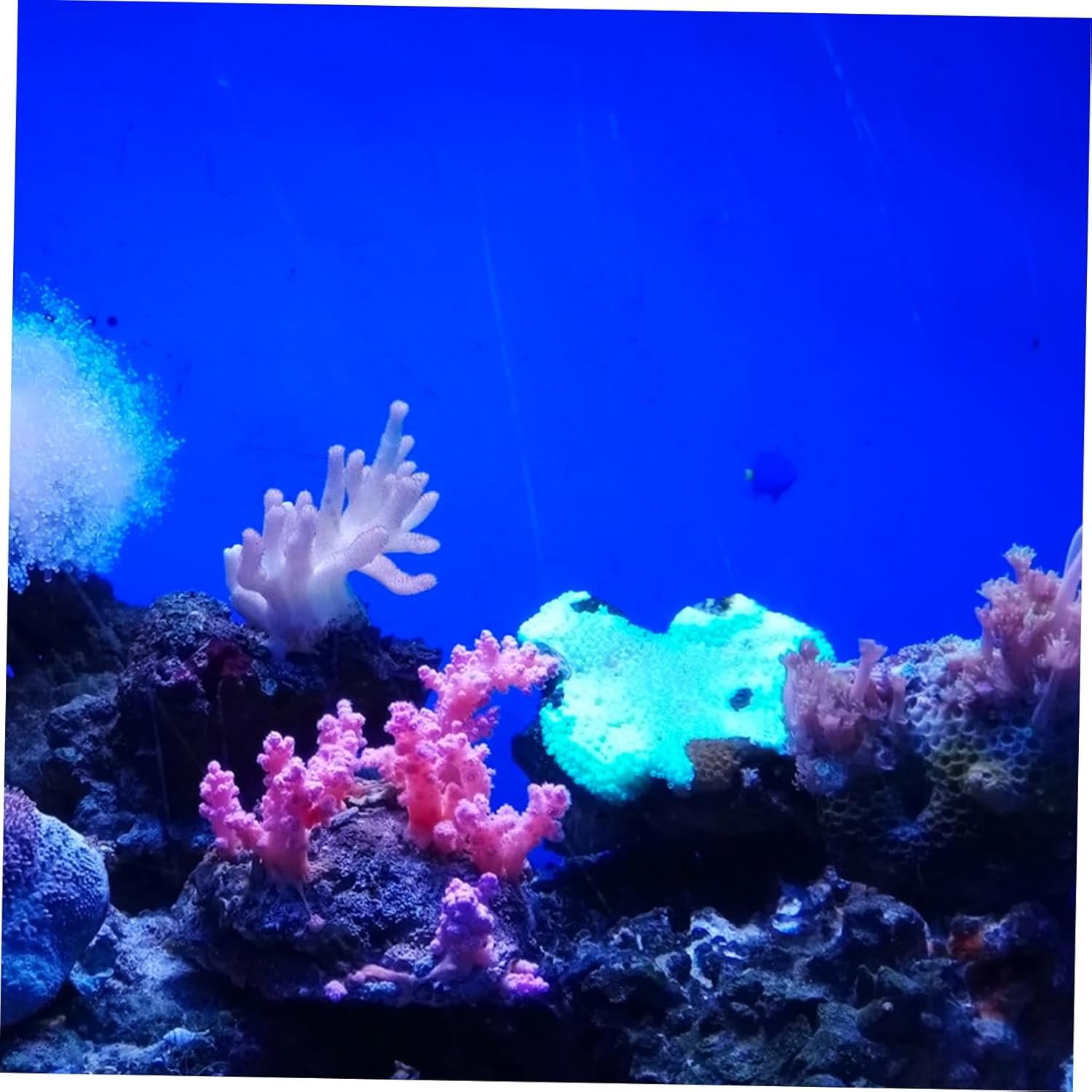 Aquarium Background Sticker Roll Self Adhesive Fish Tank Backdrop Wallpaper for DIY Underwater Scenery Decoration Vivid Colors Easy Application for Aquariums and Terrariums Long