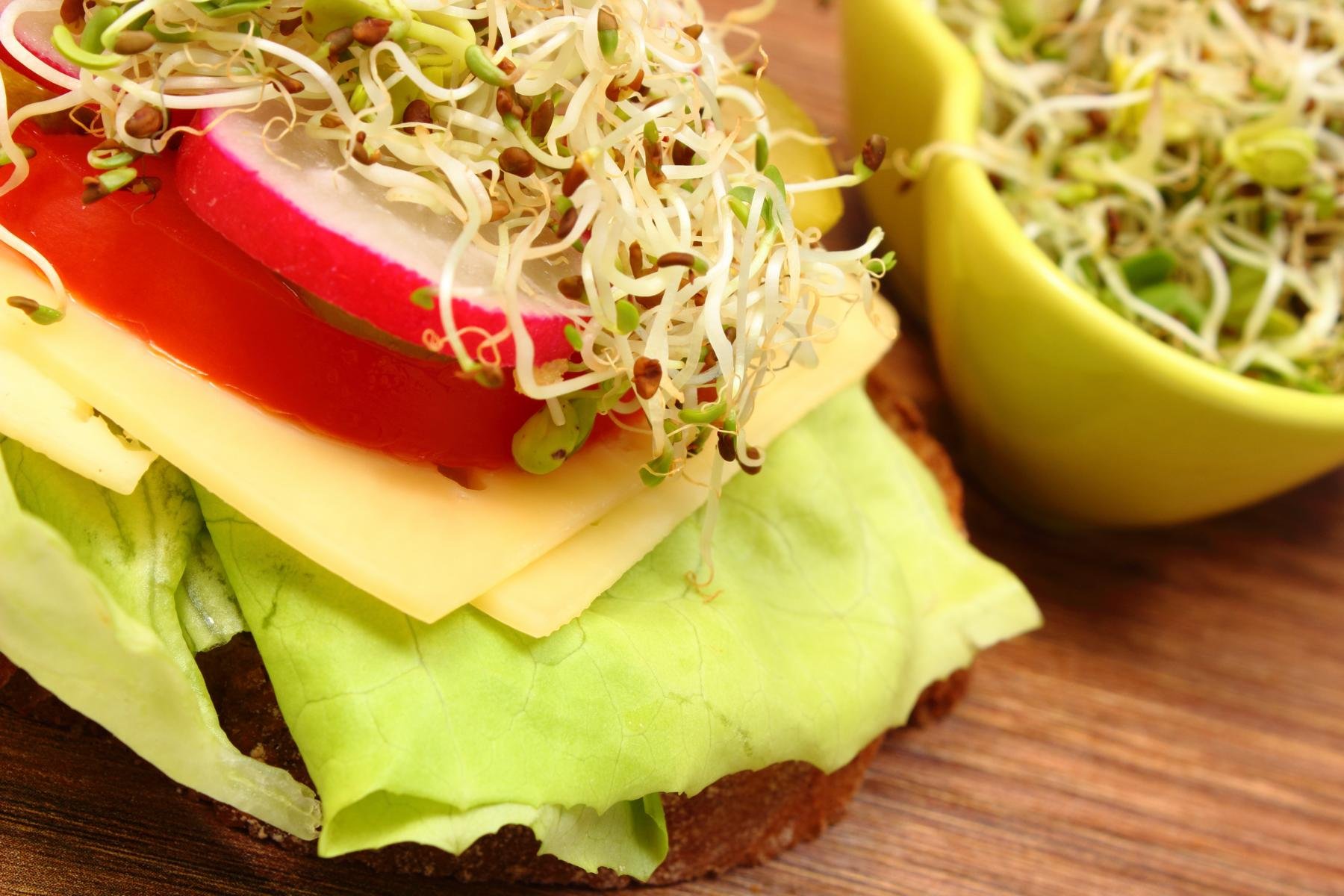 Bio Alfalfa Luzerne Keimsaat - Sprossensamen für die Zucht von Alfalfasprossen - der natürliche Energiespender - lecker in Salaten - Inhalt: 1 kg Alfalfa Samen