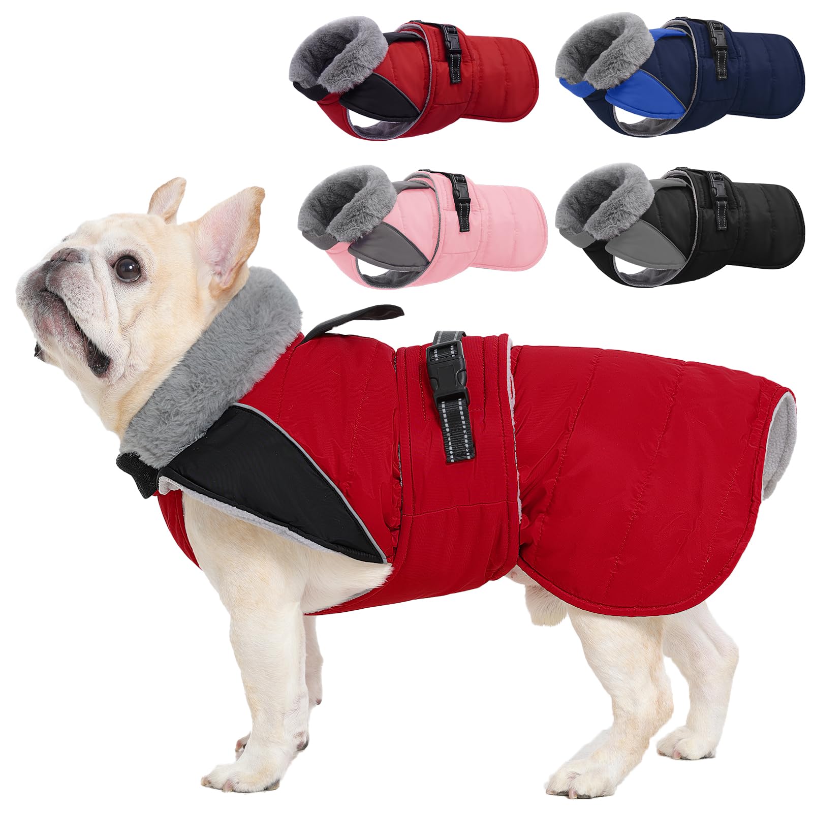 Nanaki Small Dog Coat