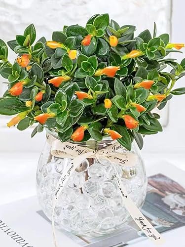 Miniatura 5 de 150000 cuentas de gel de agua transparente, cuentas de relleno de jarrón de agua, cuentas para plantar sin suelo, velas flotantes, decoración de