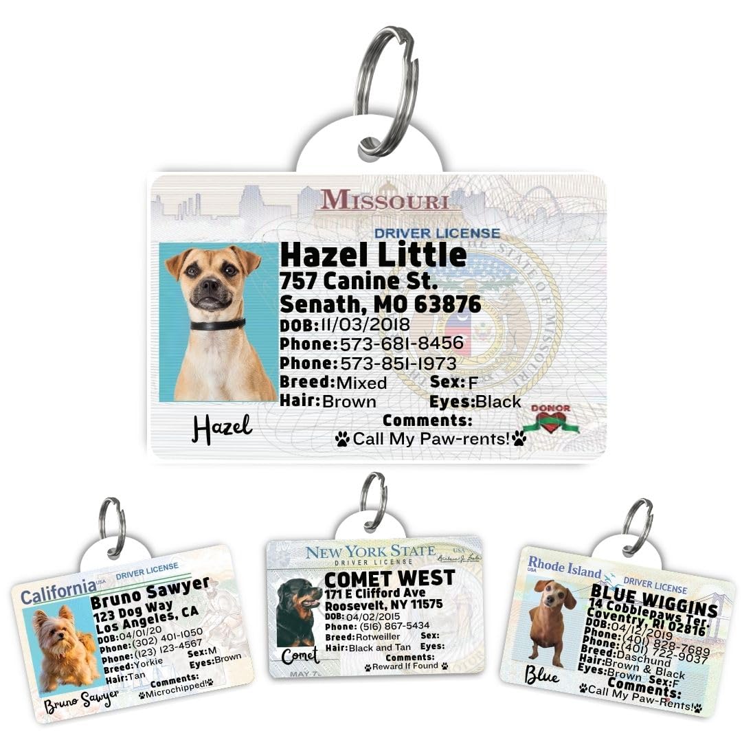 Driver License Custom Dog Tag for Pets and Wallet Card - Dog Tags for Dogs - Dog ID Tag - Personalized Dog ID Tags - Cat ID Tags - Pet ID Tags for Cats - Personalized Pet ID Tags (Missouri, Tag)