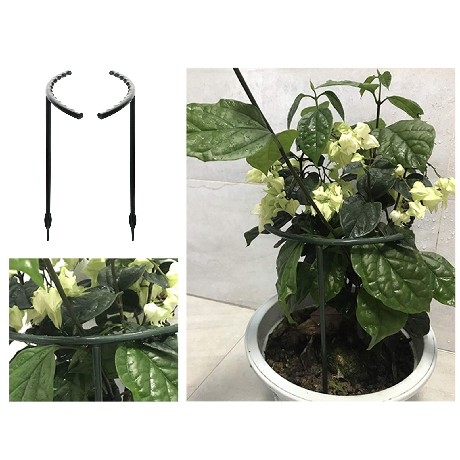 12 Sostegni Per Piante A Forma Di Arco, Supporti Semirigidi In Plastica Verde Per Clivia, Rose E Orchidee - Larghezza 14cm X Altezza 24,9cm