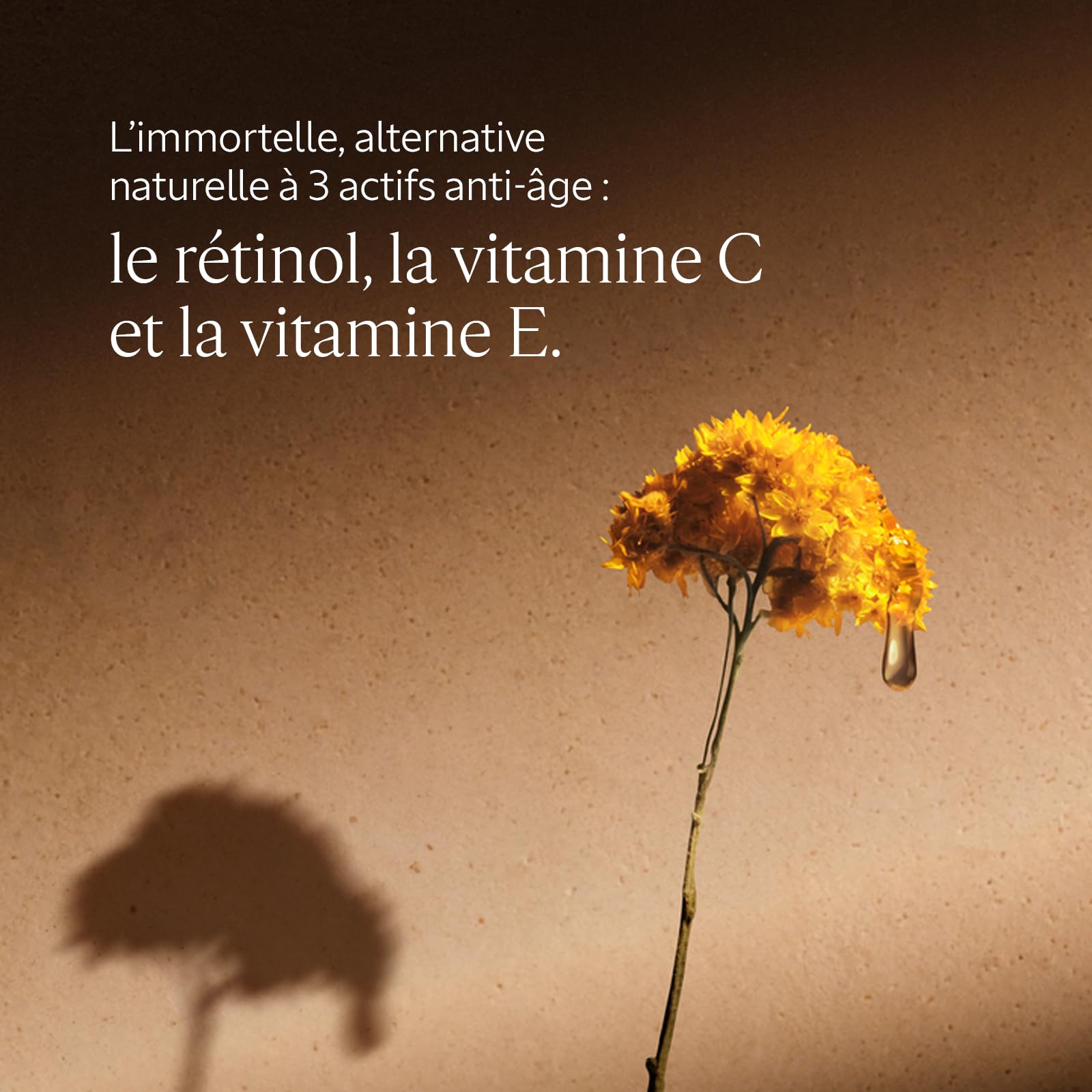L'OCCITANE - Coffret Soin Visage - Huile démaquillante Immortelle Précieuse, Sérum Immortelle Reset et Crème Visage Ultra-Riche Karité - Fabriqué en France