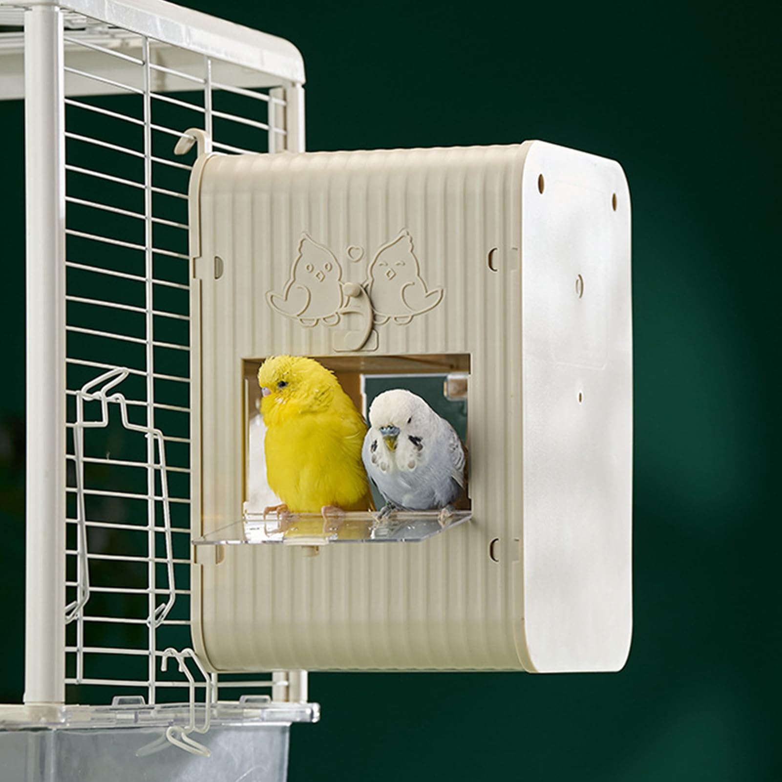 Cassetta Per Parrocchetti Per Pappagalli Con Integrata | Per Calopsite Birdwatching, decorazione giardino, balcone, osservazione educativa, fauna selvatica