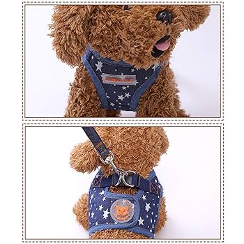 人気ブランド！Kisata リード 一体型 首輪 猫 犬  ハーネス  メッシュ imgrc0107277193.jpg