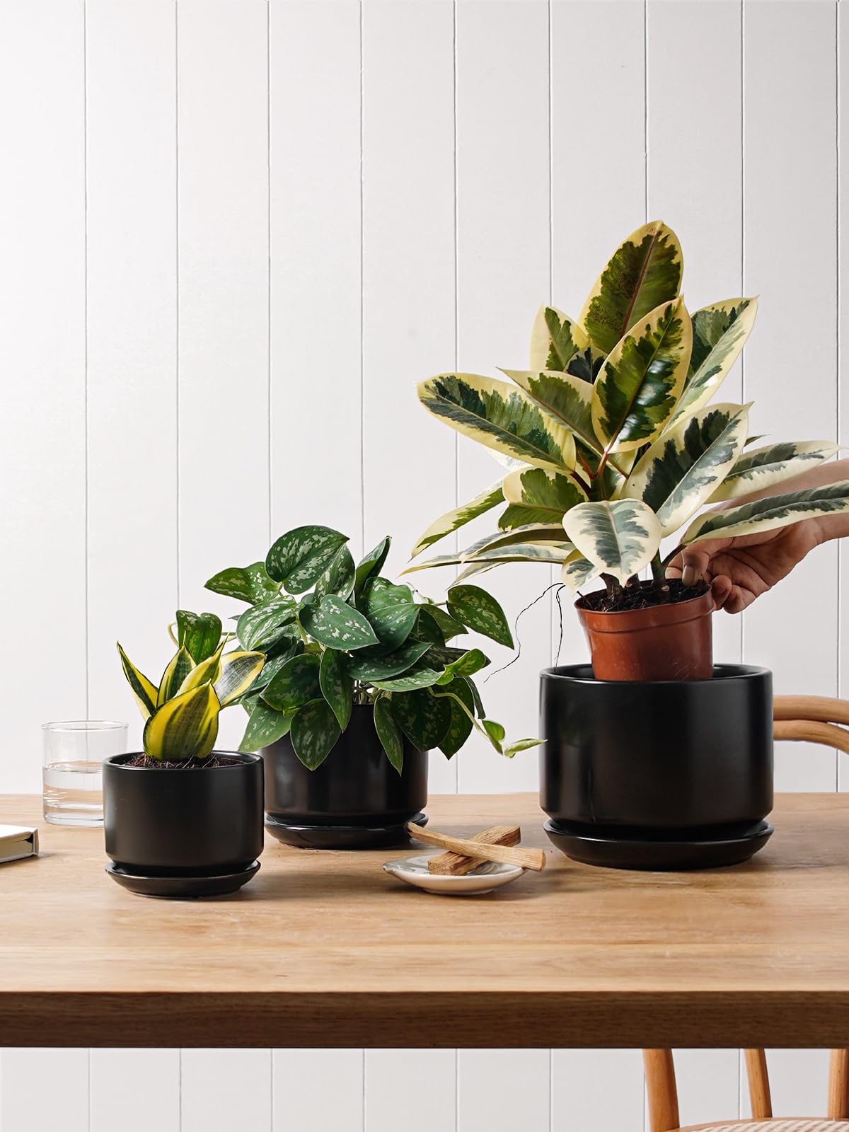 Amazon.com: LE TAUCI Ceramic Plant Pots, 4.3+5.3+6.8 inch, Set of