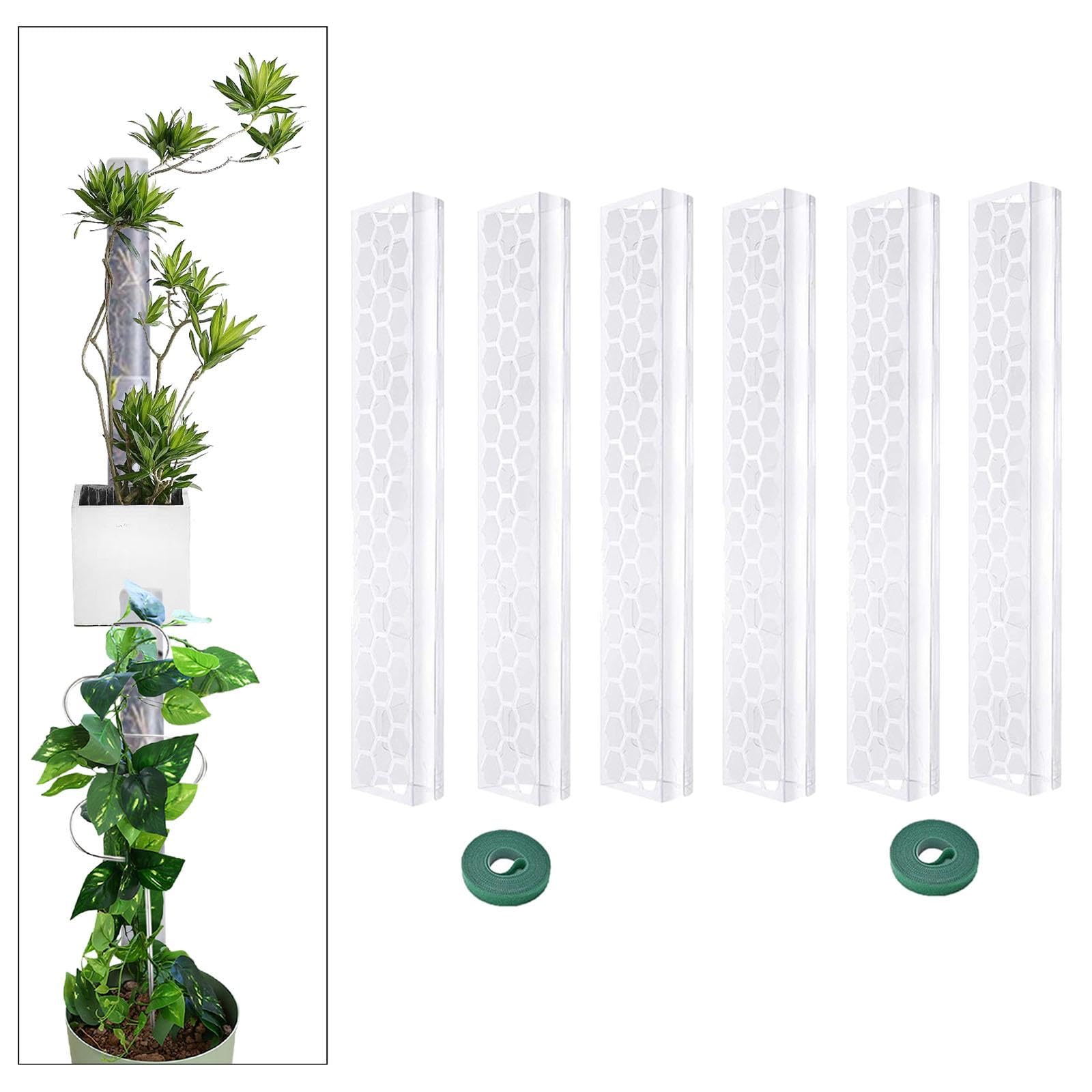 4 Pièces Tuteur Mousse pour Plantes Tiges Soutien Monstera Piquets de Croissance Montage Empilable Matériau Polypropylène Adapté à Plantes D'Intérieur, 6 Pièces