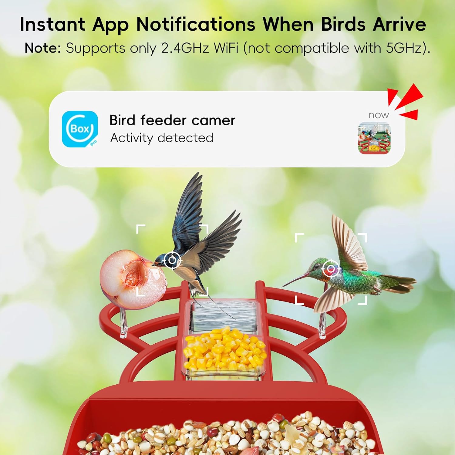 Smart Bird Feeder with Camera, with AI Identify Birds Species & Solar Panel, WiFi Birdfeeder with Cam, 4K HD Live View, Chew-Proof & Waterproof Design, Real-Time App Alerts, Bird Lover's Companion