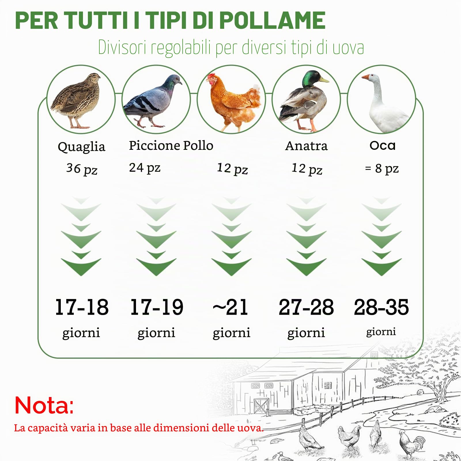 Incubatrice completamente automatica per 12 uova, incubatrice per polli con rifornimento automatico dell'acqua e voltauova automatico, controllo dell'umidità, ovoscopio per polli, anatre e uova di