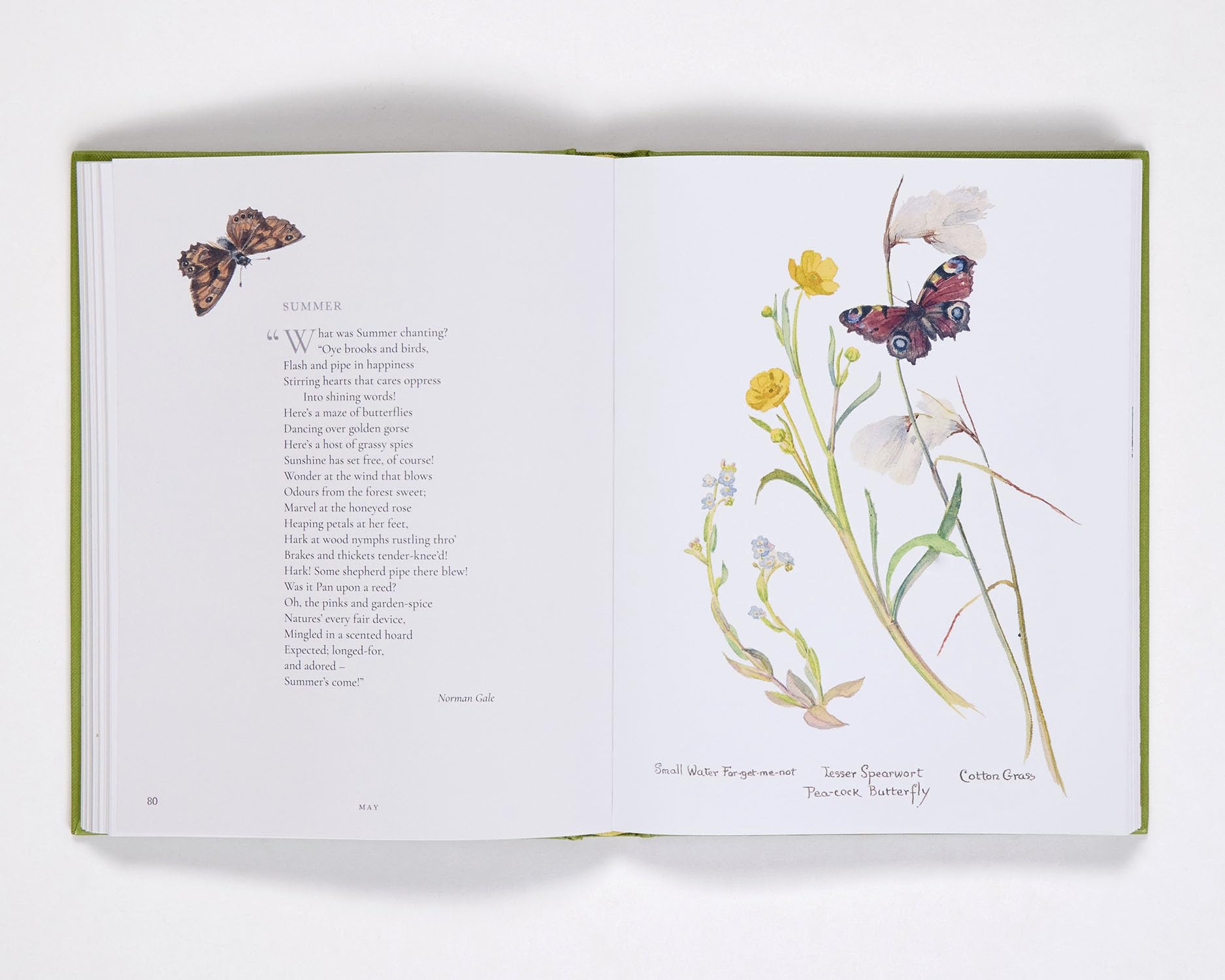 Nature Notes of an Edwardian Lady