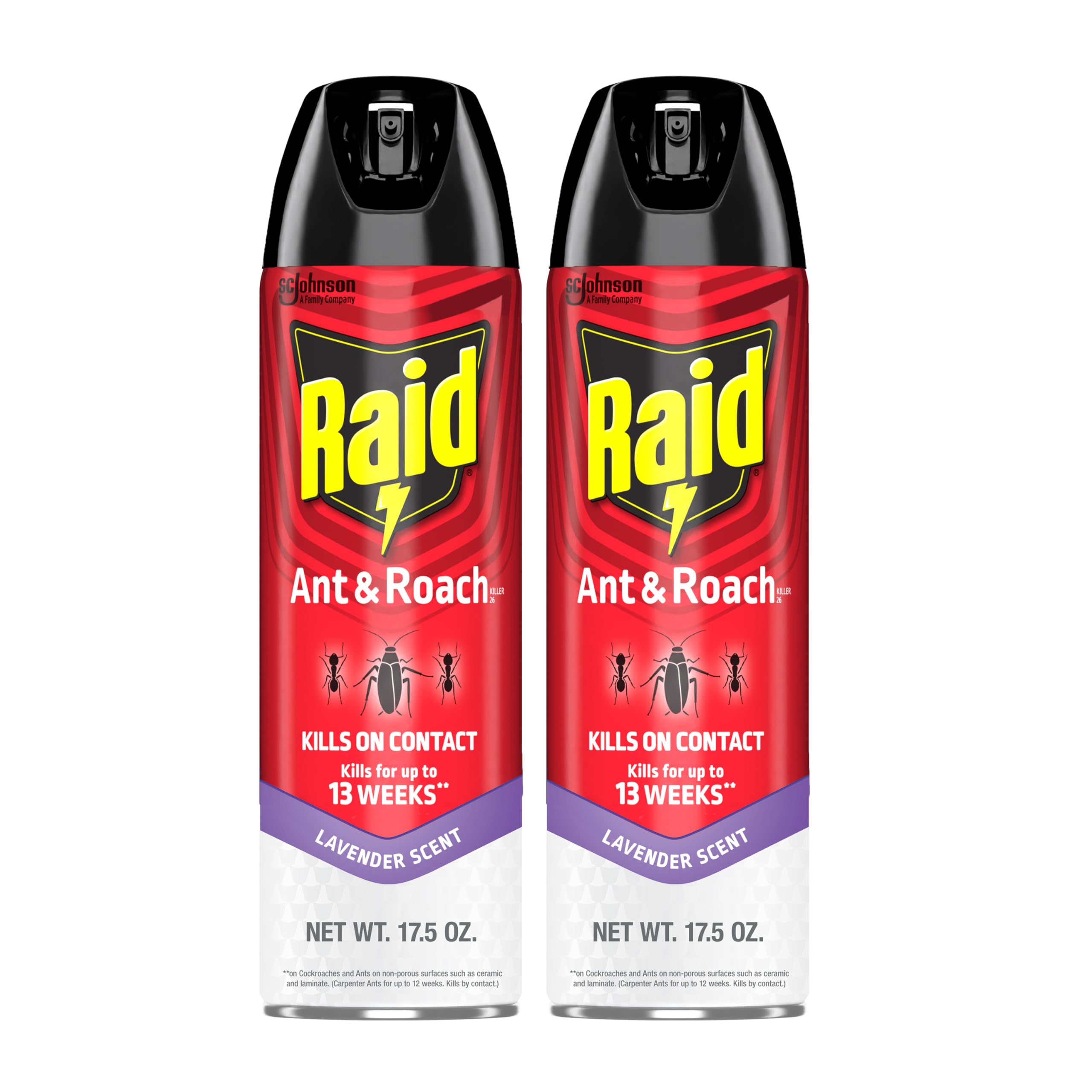 Raid