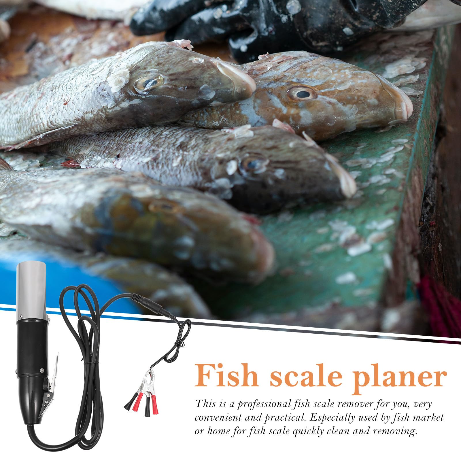 Elektrischer Fischschuppenschaber 0,12 Kw, 12v 220v