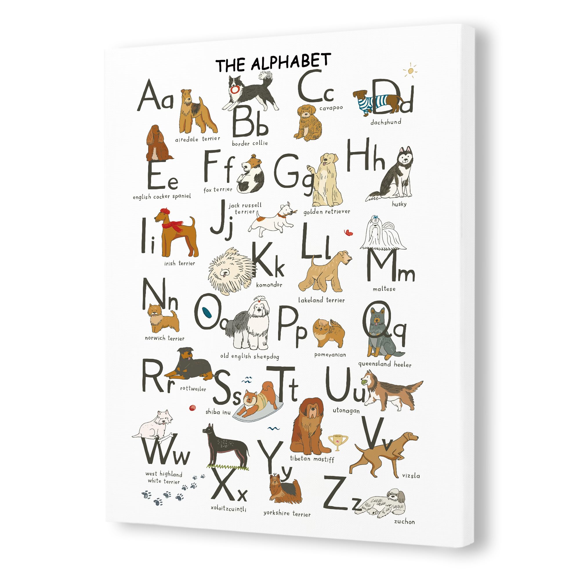 Amazon.com: Pugwak ABC Alphabet Dog Wall Art Canvas Prints