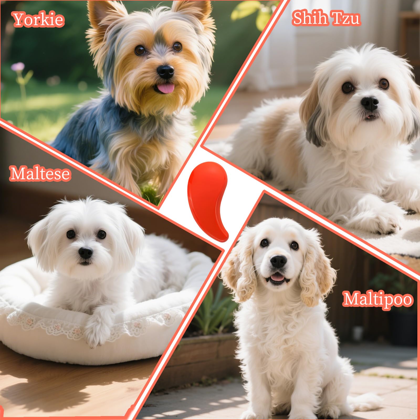 Szczotka dla małego psa w kształcie przecinka, pasuje do Yorkie, Shih Tzu, maltańskiego maltipoo pomeranian, delikatne miękkie włosie do bezproblemowego usuwania sierści zwierząt domowych, niezbędnik