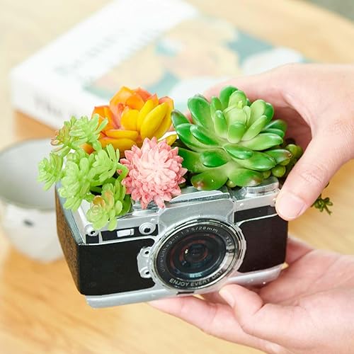 Miniatura 2 de Maceta decorativa para cámara, regalo de plantas, decoración de escritorio, maceta para plantas de interior, cámara, estante del hogar, oficina,