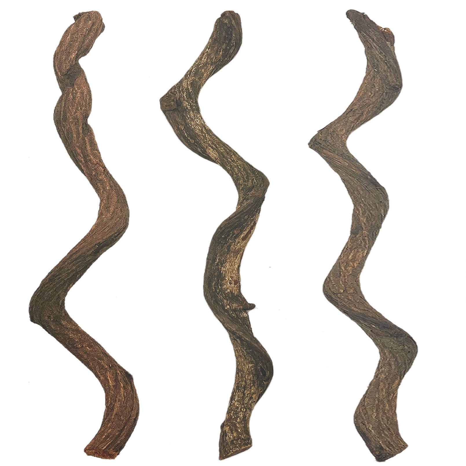 Decoración de reptiles, rama de bosque natural, decoración de hábitat, lagarto trepador, rama de árbol para dragón barbudo, geco, serpiente, camaleón, araña, rana, 3 unidades