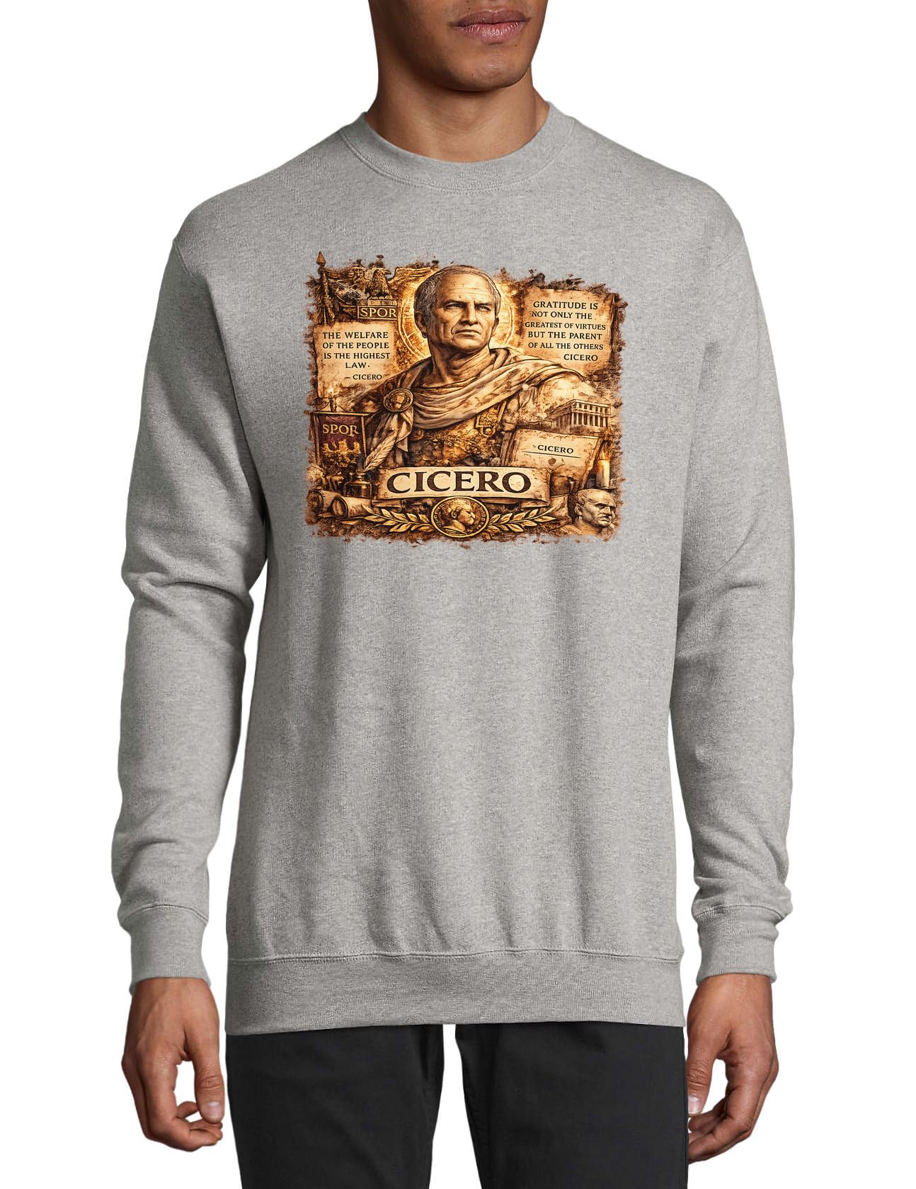 Mądrość i cnota Cycerona Bawełniany sweter Bluza Sweter Sweter Szary XS