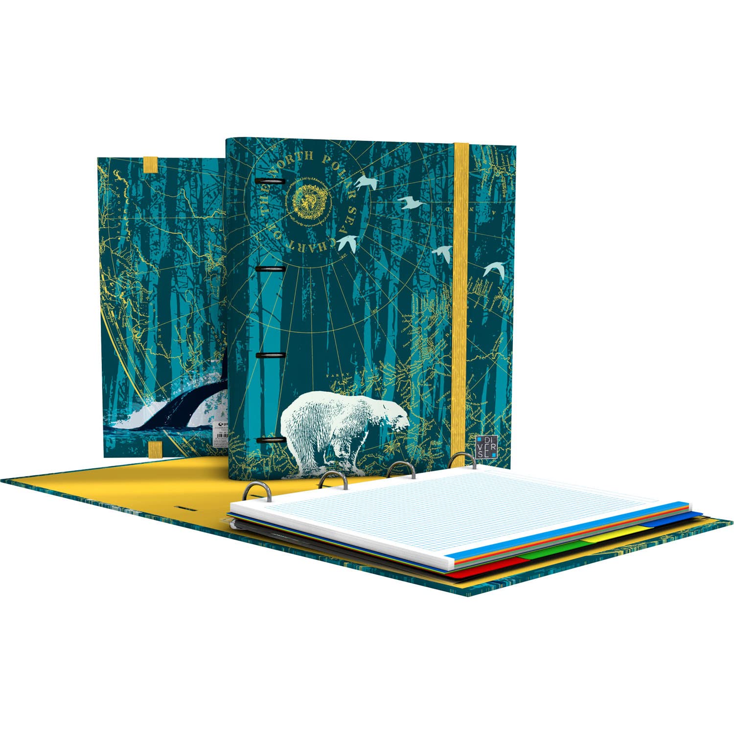 Raccoglitore Grafoplás North Polar A4 - Con Fogli Quadretti E Divisori | Design Orso Polare - Foto 7