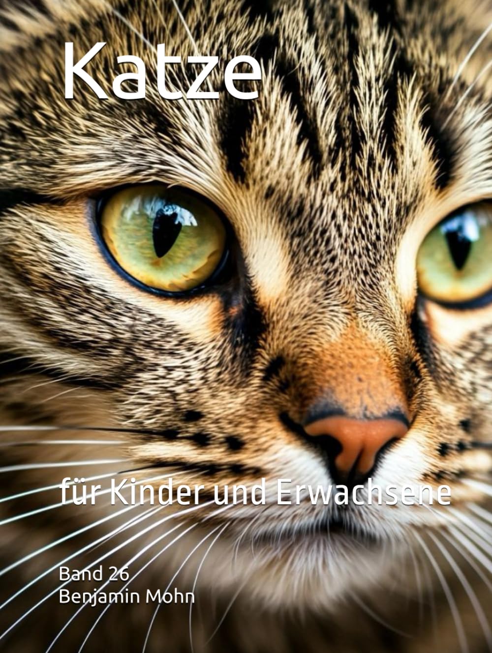 Katze: für Kinder und Erwachsene