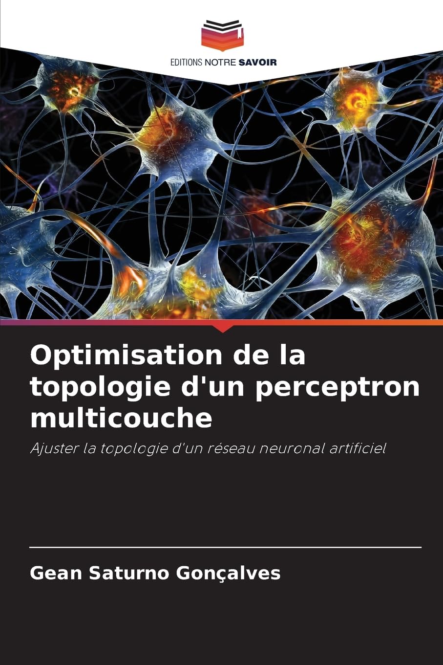 Optimisation de la topologie d'un perceptron multicouche: Ajuster la topologie d'un réseau neuronal artificiel